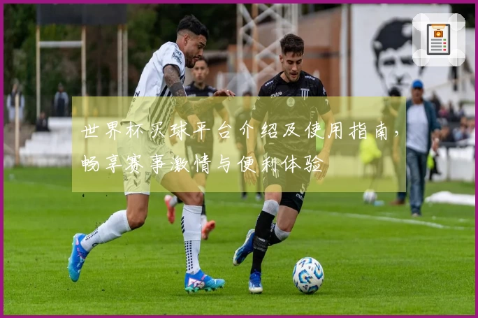 世界杯买球平台介绍及使用指南，畅享赛事激情与便利体验