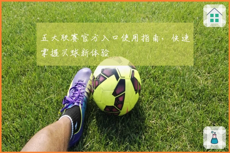 五大联赛官方入口使用指南,快速掌握买球新体验