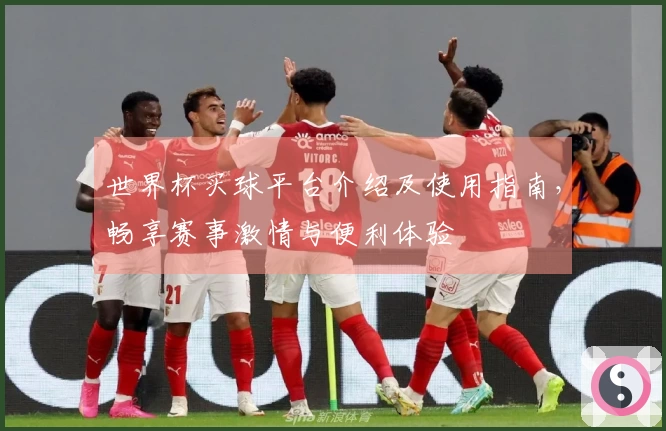 世界杯买球平台介绍及使用指南，畅享赛事激情与便利体验