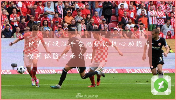 世界杯投注平台地址的核心功能与使用体验全面介绍