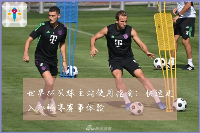 世界杯买球主站使用指南:快速进入和畅享赛事体验