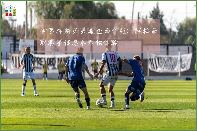 世界杯购买渠道全面介绍：轻松获取赛事信息和购物体验