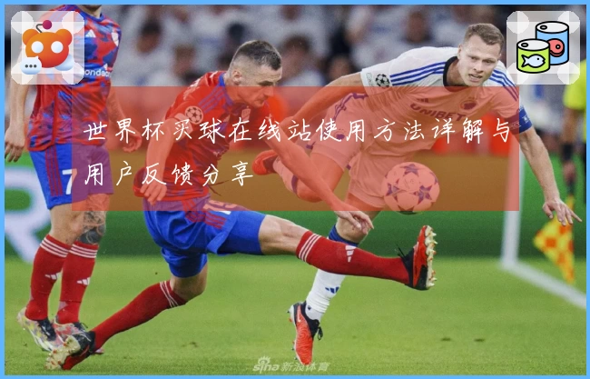 世界杯买球在线站使用方法详解与用户反馈分享