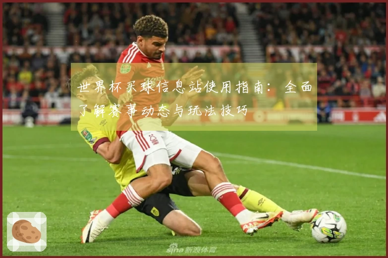 世界杯买球信息站使用指南：全面了解赛事动态与玩法技巧
