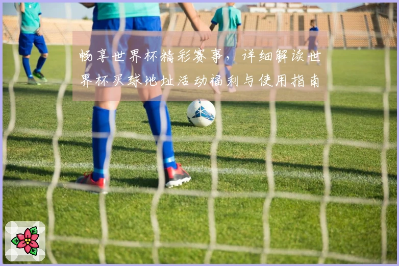 畅享世界杯精彩赛事，详细解读世界杯买球地址活动福利与使用指南