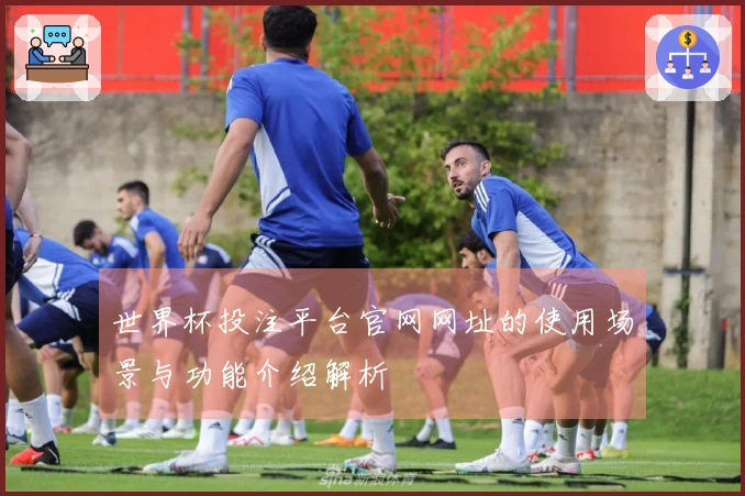 世界杯投注平台官网网址的使用场景与功能介绍解析