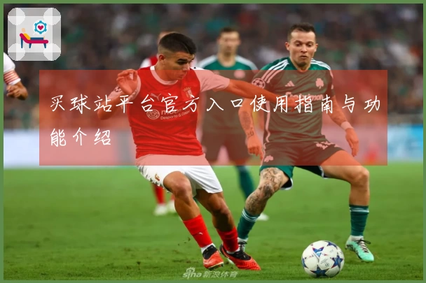 买球站平台官方入口使用指南与功能介绍