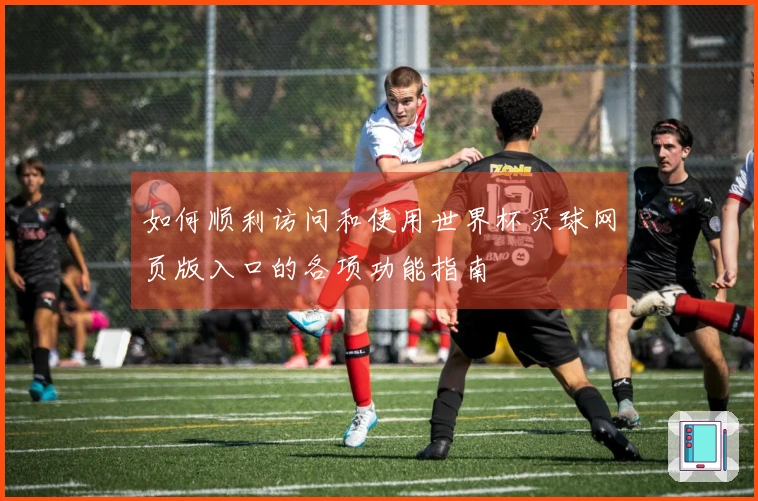 如何顺利访问和使用世界杯买球网页版入口的各项功能指南