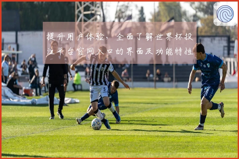 提升用户体验，全面了解世界杯投注平台官网入口的界面及功能特性