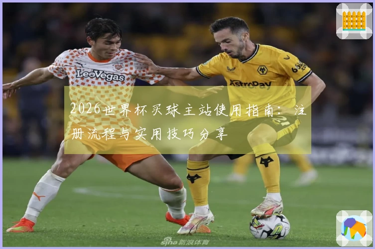 2026世界杯买球主站使用指南：注册流程与实用技巧分享