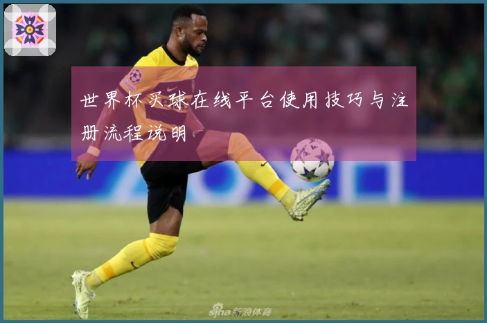 世界杯买球在线平台使用技巧与注册流程说明