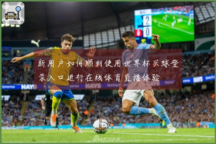新用户如何顺利使用世界杯买球登录入口进行在线体育直播体验