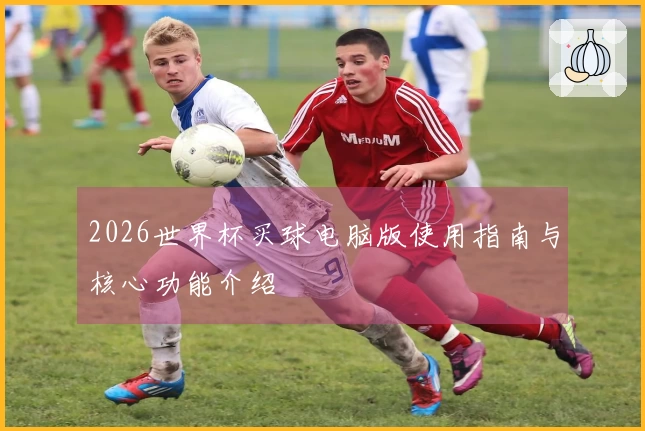 2026世界杯买球电脑版使用指南与核心功能介绍