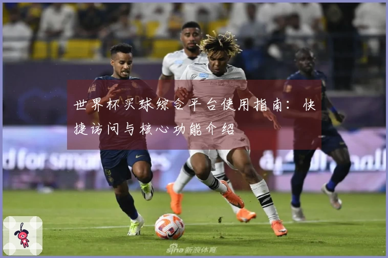 世界杯买球综合平台使用指南：快捷访问与核心功能介绍